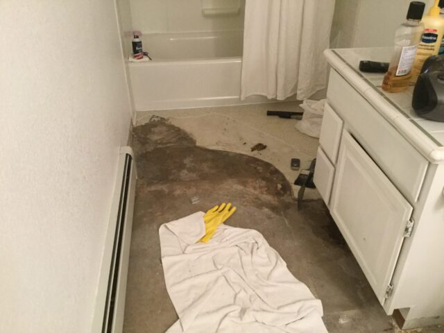 Bathroom floor remodel