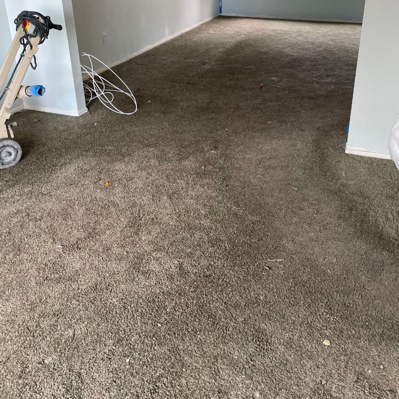 Old, dirty, and stained carpet