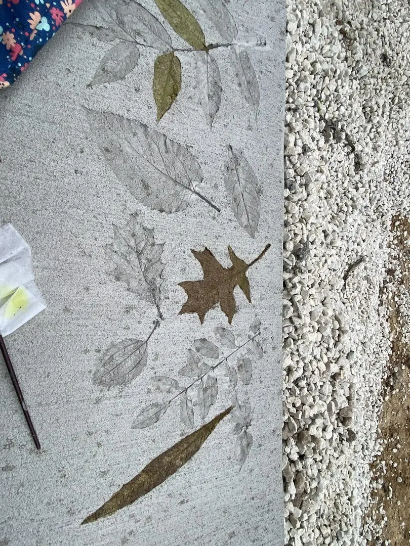 Close-up of concrete with leaf stencils, partially filled with natural green and brown shades, alongside acid staining tools.