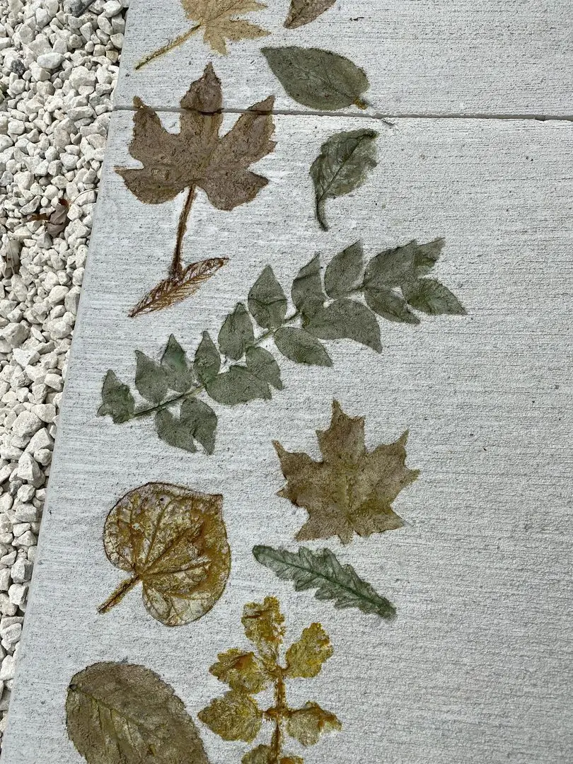 Concrete surface with detailed leaf stencils in shades of avocado, Desert Amber and English Red for an autumnal touch