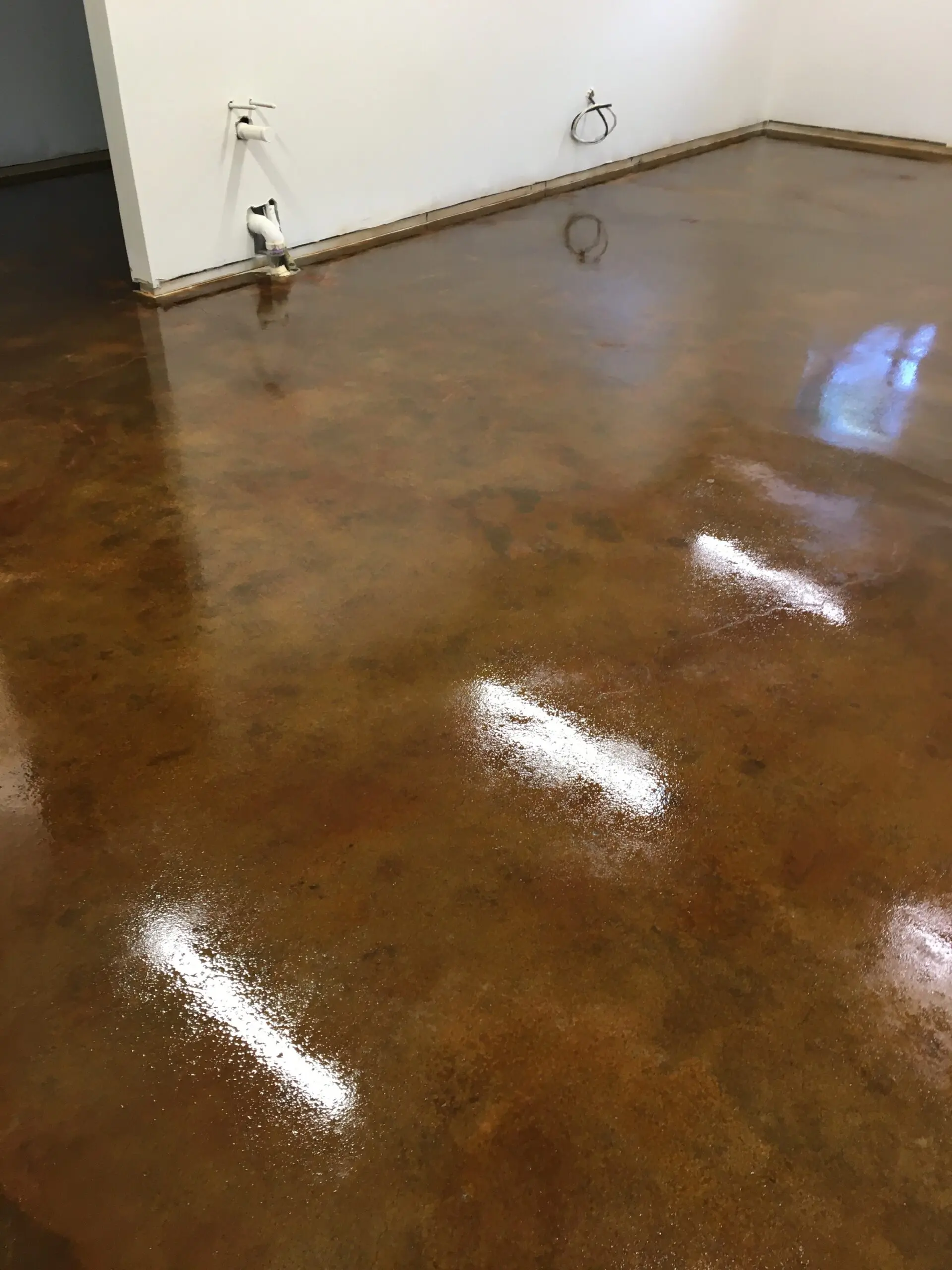 Close-up image of the concrete floor after the application of Malayan Buff and sealer