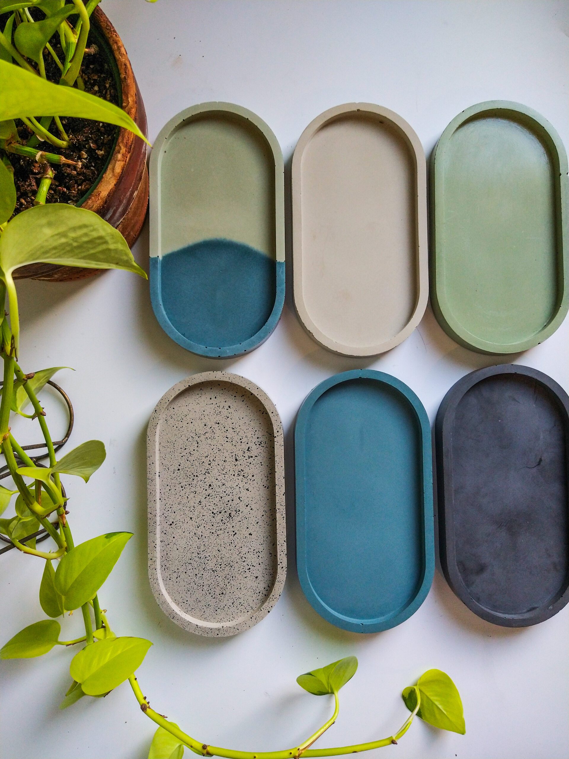 Oval concrete trays by @wellplantedco