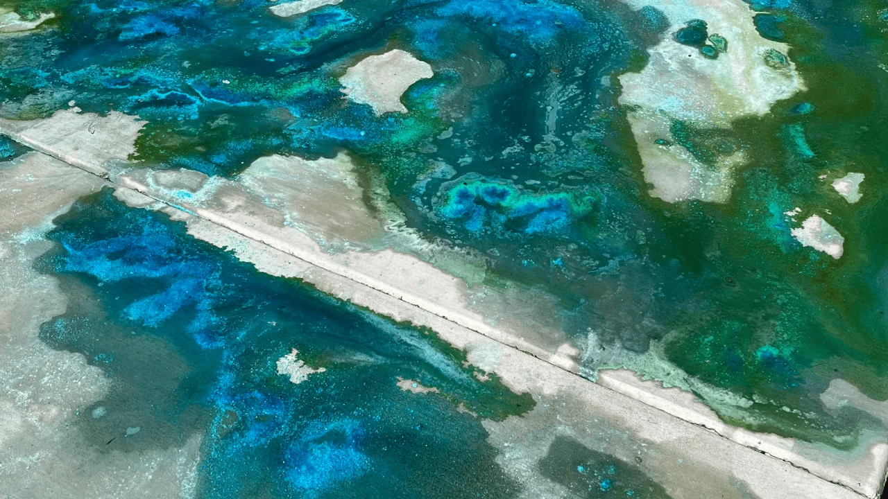 Close-up of a concrete surface with vibrant blue and green patterns created by the reaction of acid stain and Miracle Gro granules.