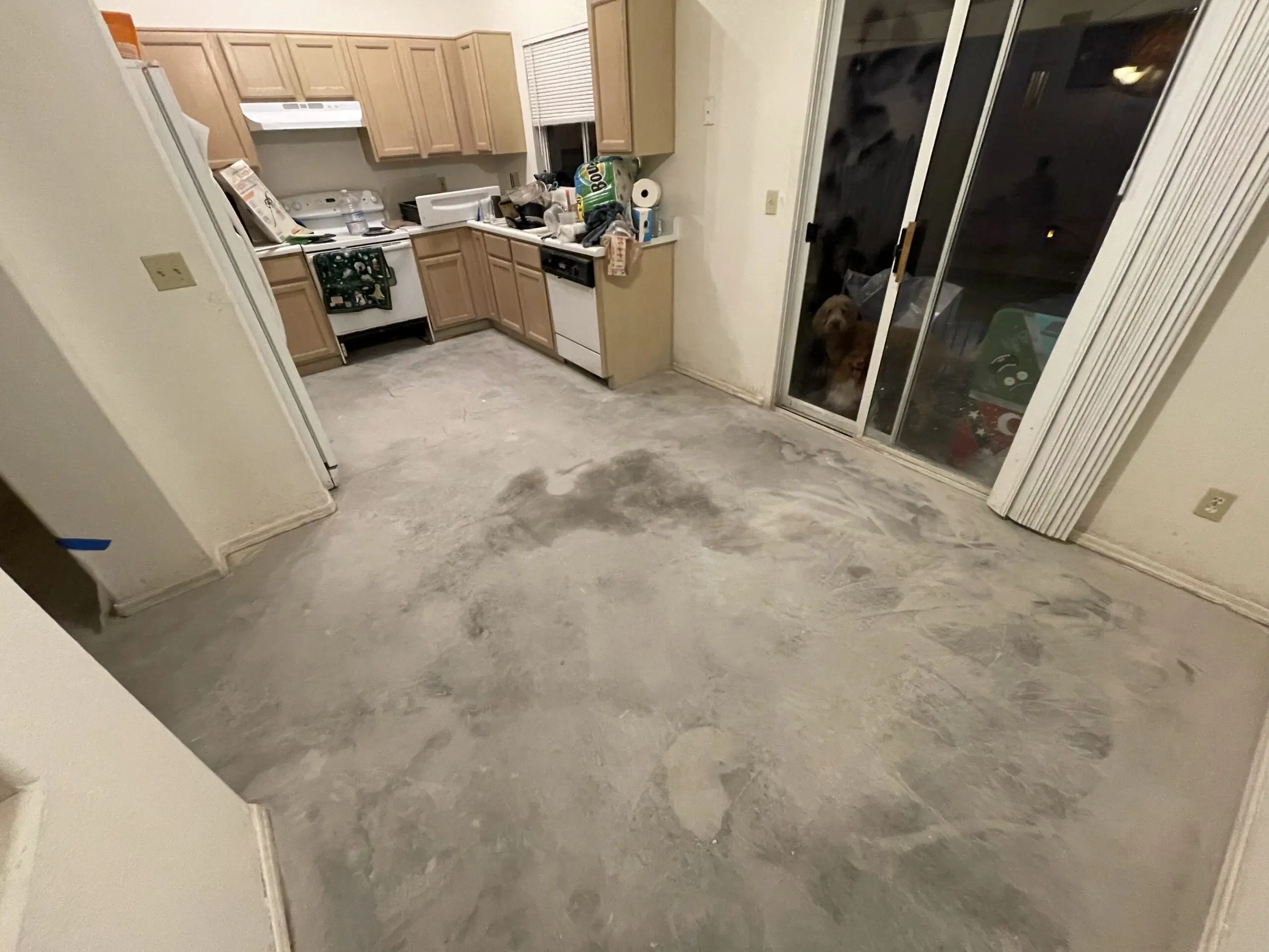 A picture showing a kitchen with bare, cleaned concrete floors after vinyl removal, showing the raw state before the acid staining process begins.