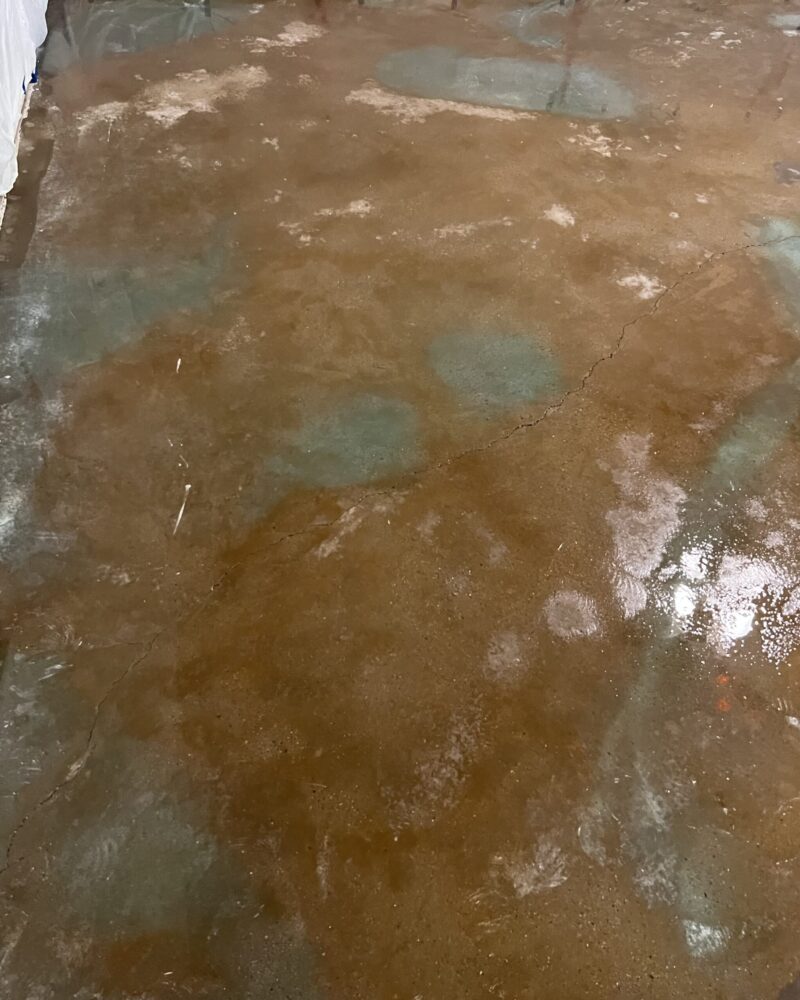 Image showing the application of Malayan Buff and Seagrass acid stains on the concrete floor using the wet-on-wet method