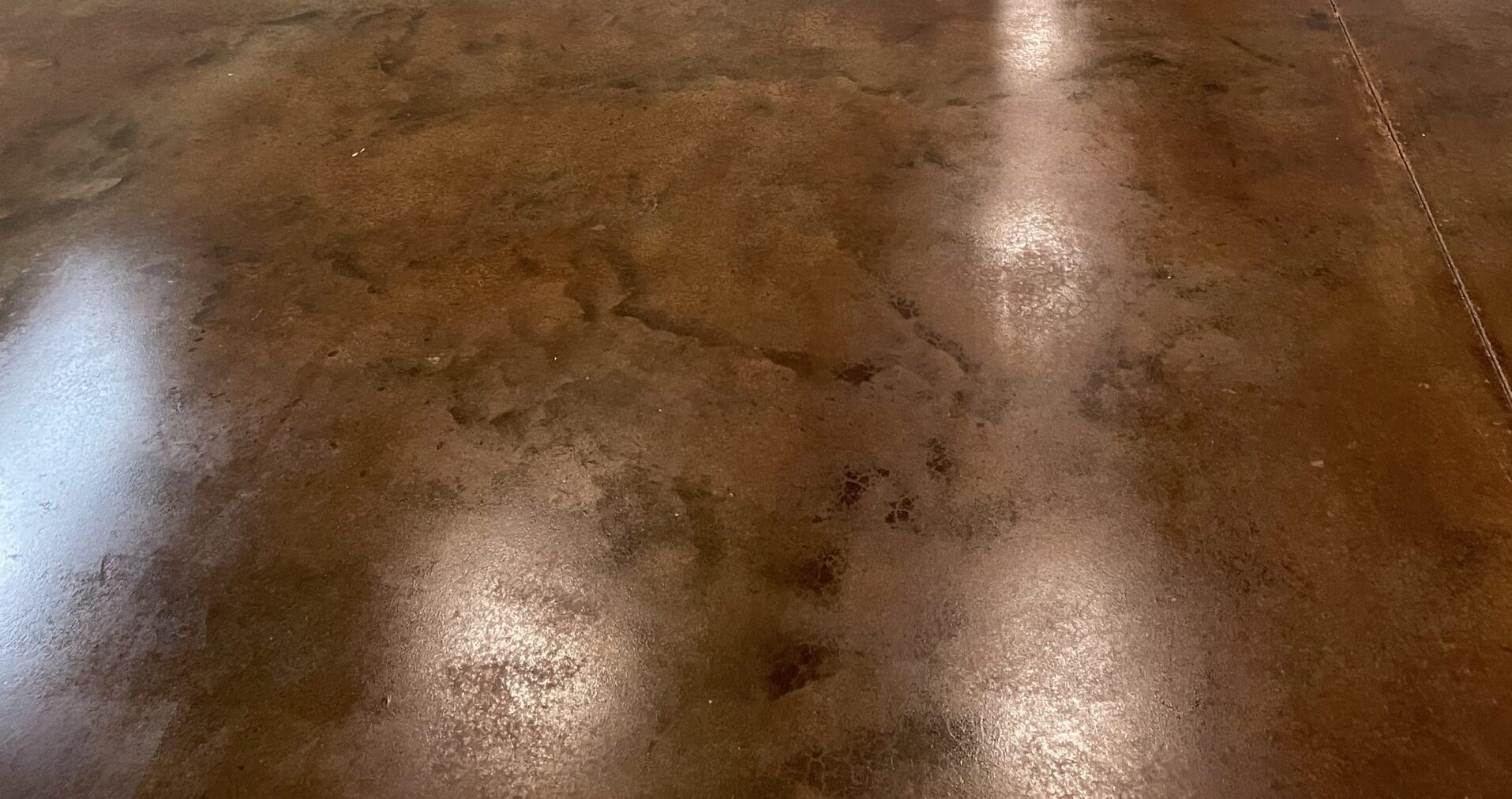 Cola acid-stain creates a sophisticated and durable concrete flooring solution, offering a contemporary touch to the professional space