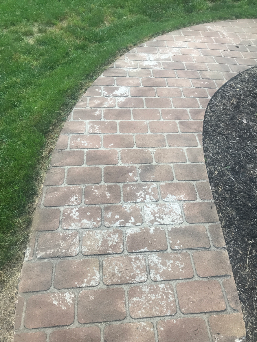 Paver walkway with efflorescence and fading Paver walkway with efflorescence and fading before staining with Café Royale Portico™ Paver Stain