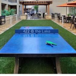 15.4 Premium Blue Concrete Pigment Blue Concrete Tennis Table