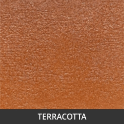 Terra Cotta Vibrance Dye