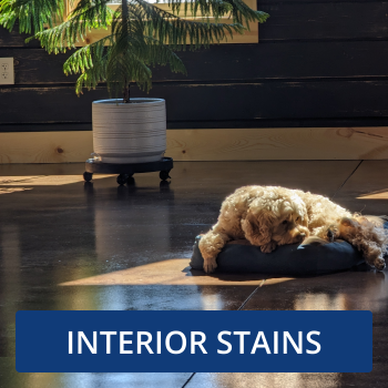 Image for: Interior Concrete Stains