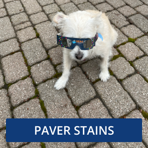 Image for: Paver Stain and Sealer